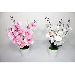 GHIVECI PLASTIC CU FLORI ORHIDEE 133-1 (10/120)