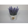 GHIVECI PLASTIC CU FLORI LAVANDA PO72 (12/120)
