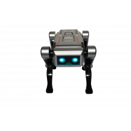 CATEL ROBOT CU RC+ACUMULATOR 955-259 (1/24)