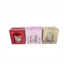 SET CANA+LINGURITA LA CUTIE ZH-265,264,168 (1/120)