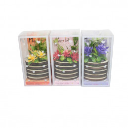 CUTIE CADOU VAZA CU FLORI TZ-351 (12/192)