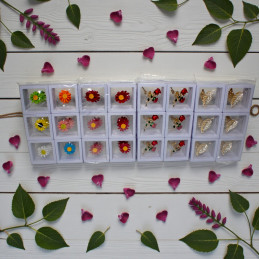 BROSA LA CUTIE Z01, Z02 (12/1000)