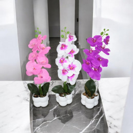 GHIVECI PLASTIC CU FLORI ORHIDEE 407-14 (20/120)