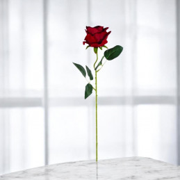 TRANDAFIR PLASTIC 50 CM 138-2 (200/1600)