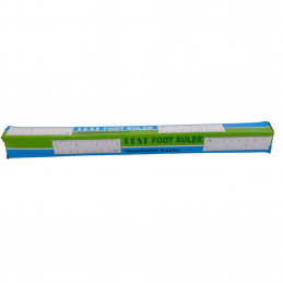RIGLE 30CM TRANSPARENTE COLOR (12/1200)