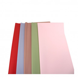 HARTIE PLASTIFIATA 55X54CM 20/SET (1/100)