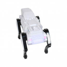 CATEL ROBOT CU RC.+ACUMULATOR 2820 (1/12)
