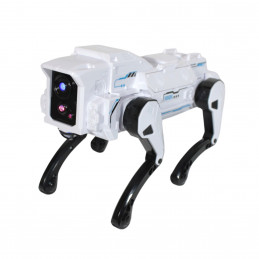 CATEL ROBOT CU RC.+ACUMULATOR 2820 (1/12)